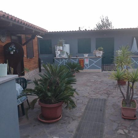 Villa Aquila Di Mare Fiumicino Zimmer foto